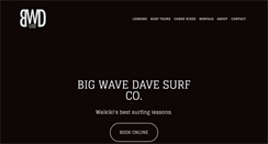 Desktop Screenshot of bigwavedavesurfco.com